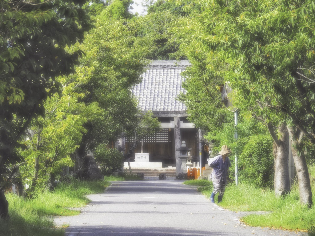 長閑な散策をした日。
