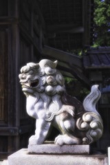 狛犬がいる境内