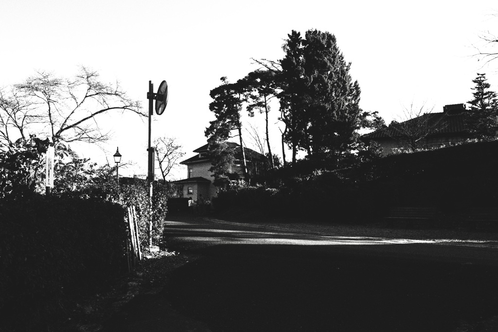 Light and shadow on the way home.
