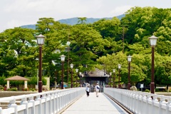 夏の散策、晴れの日。