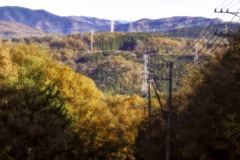 舗装道の秋から