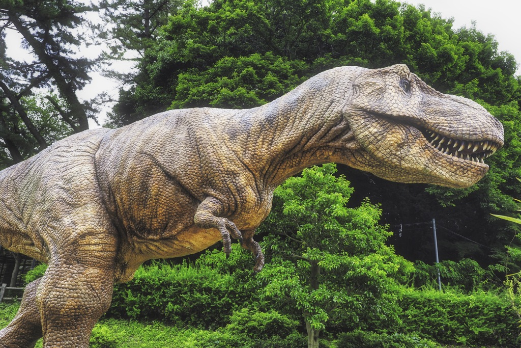 緑の中の恐竜