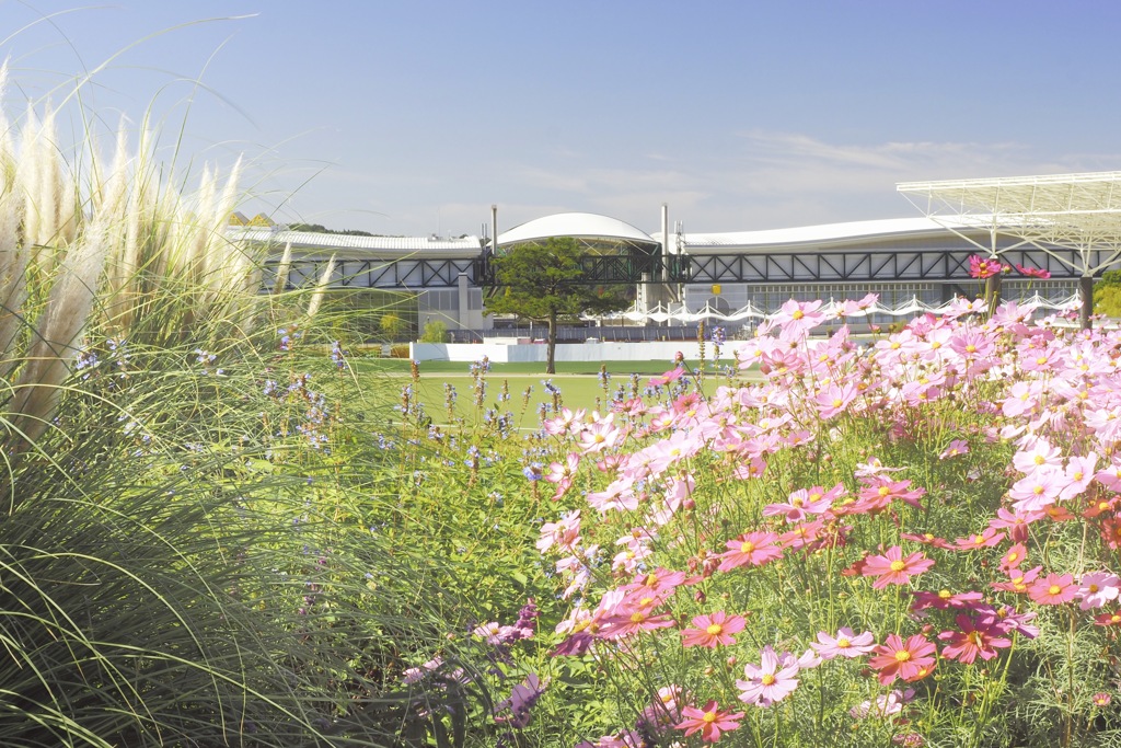 草木花 公園散策