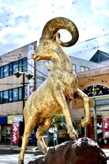美濃加茂市の街歩き