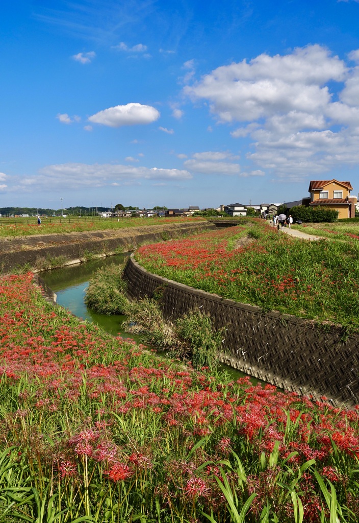 岩滑の散歩日和