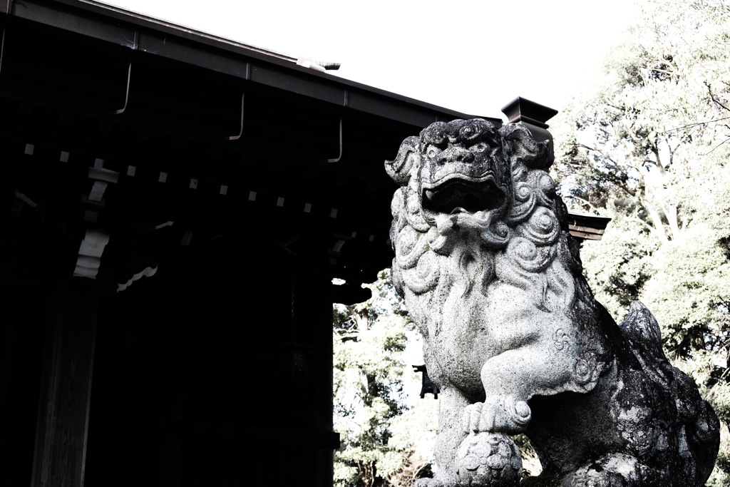 八幡宮の狛犬