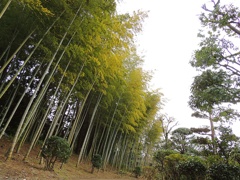 雰囲気
