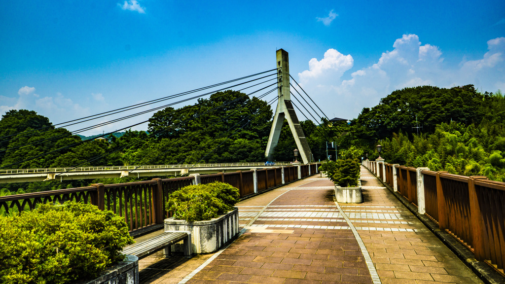 あの橋
