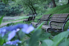 公園