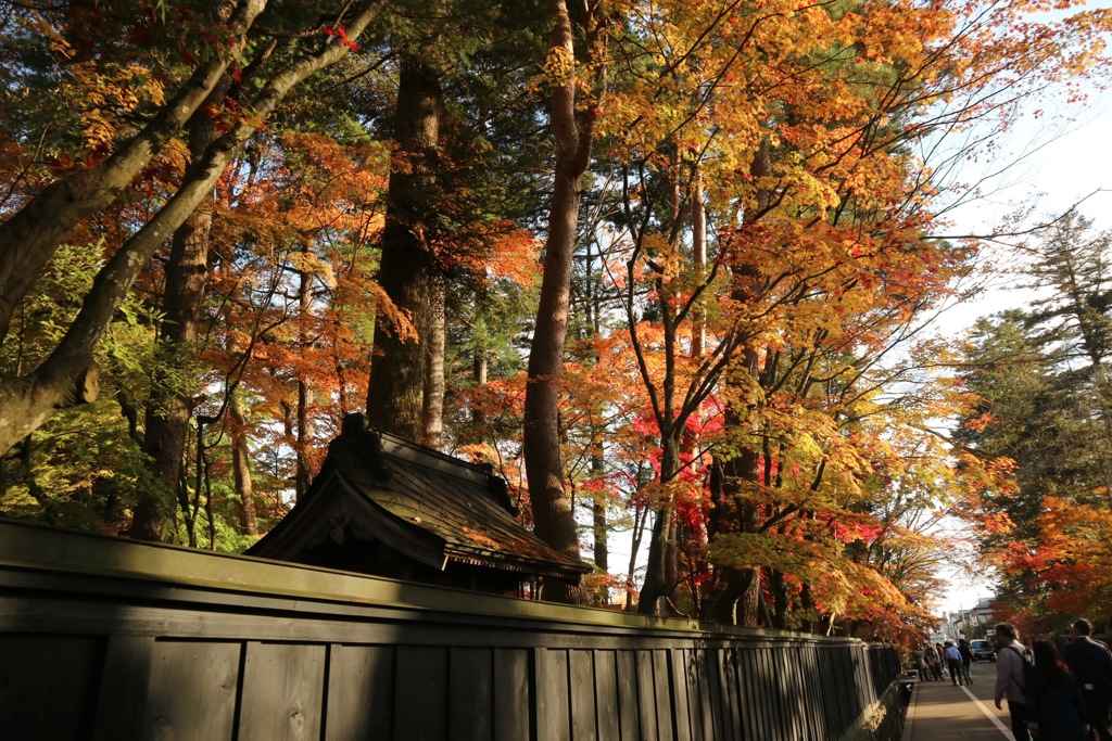 角館 紅葉