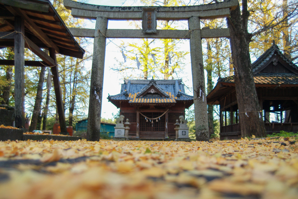 大分の阿蘇神社