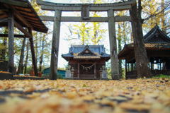 大分の阿蘇神社