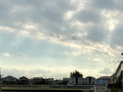 陽光