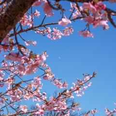 春の始まり　
