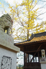 大分の阿蘇神社