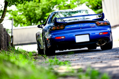 DSC_3257