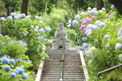 あじさい寺