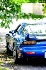 DSC_3236