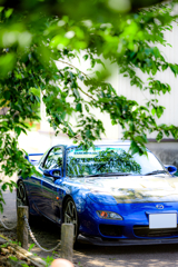 DSC_3293