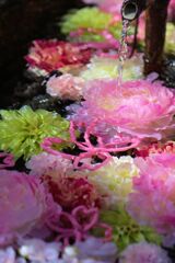 花水喜