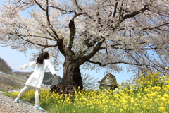 春に深呼吸