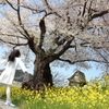 春に深呼吸