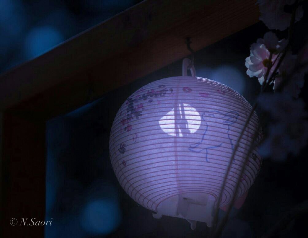 花に想い　月に願う