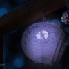 花に想い　月に願う
