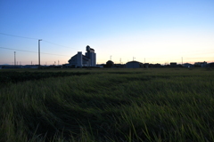 カントリーエレベーターのある風景