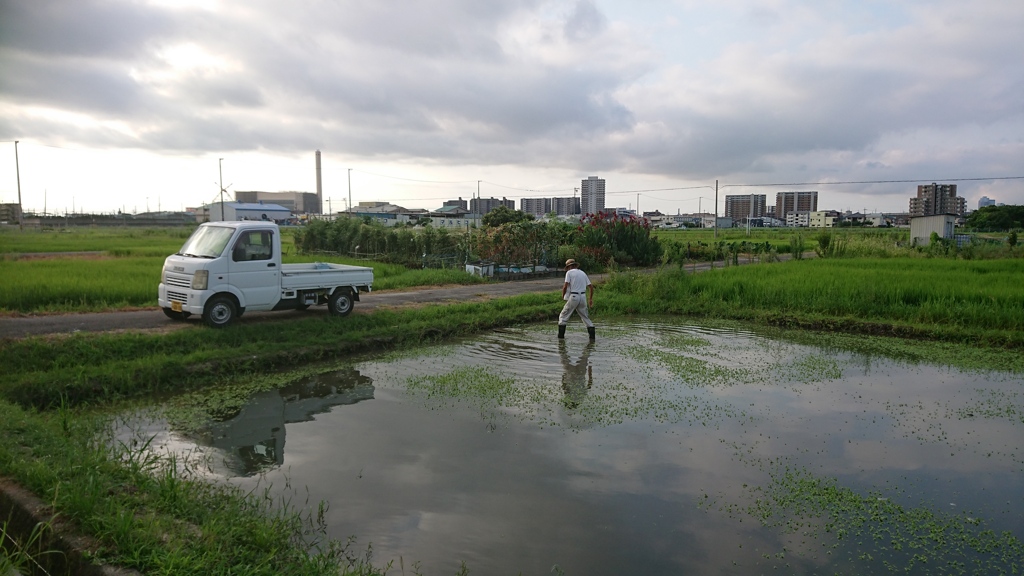 背中への敬意