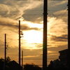電柱と見る夕日