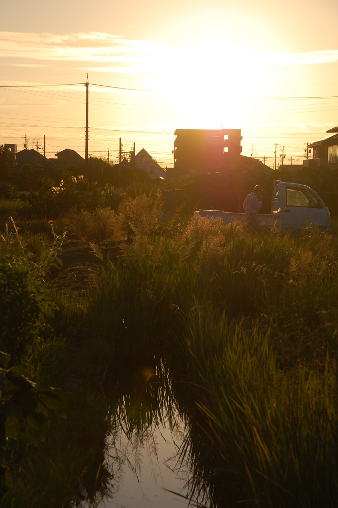 夕日と水路と時々軽トラ