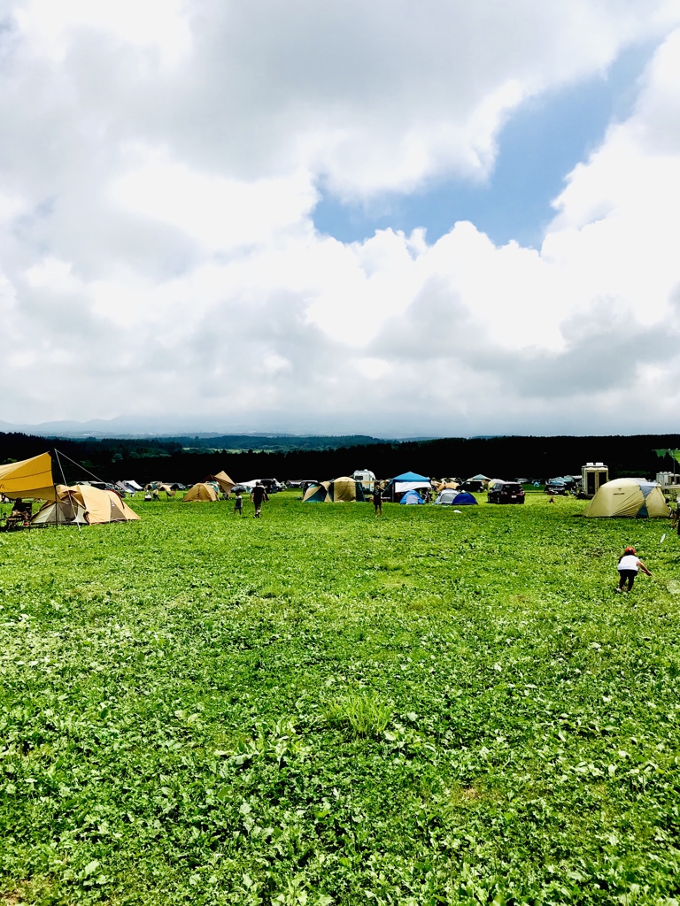Grass field