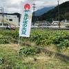 あけぼの大豆畑