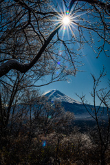 富士山