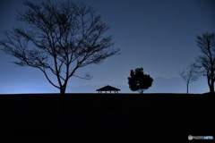 静寂の公園