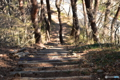 遊歩道