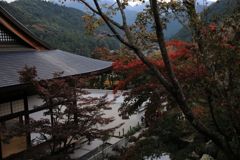 宝徳寺　山側より望む