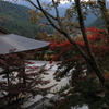 宝徳寺　山側より望む
