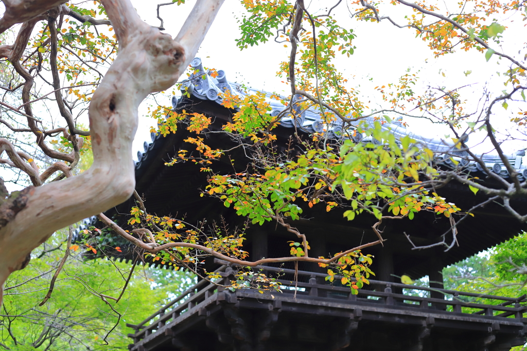 鑁阿寺　鐘楼