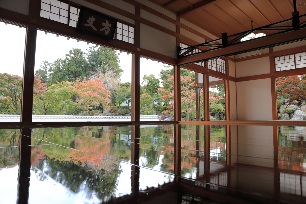 宝徳寺　床もみじ