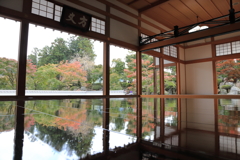 宝徳寺　床もみじ