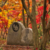 織姫神社　もみじ谷