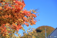 水上高原ホテル200　エントランス前の紅葉