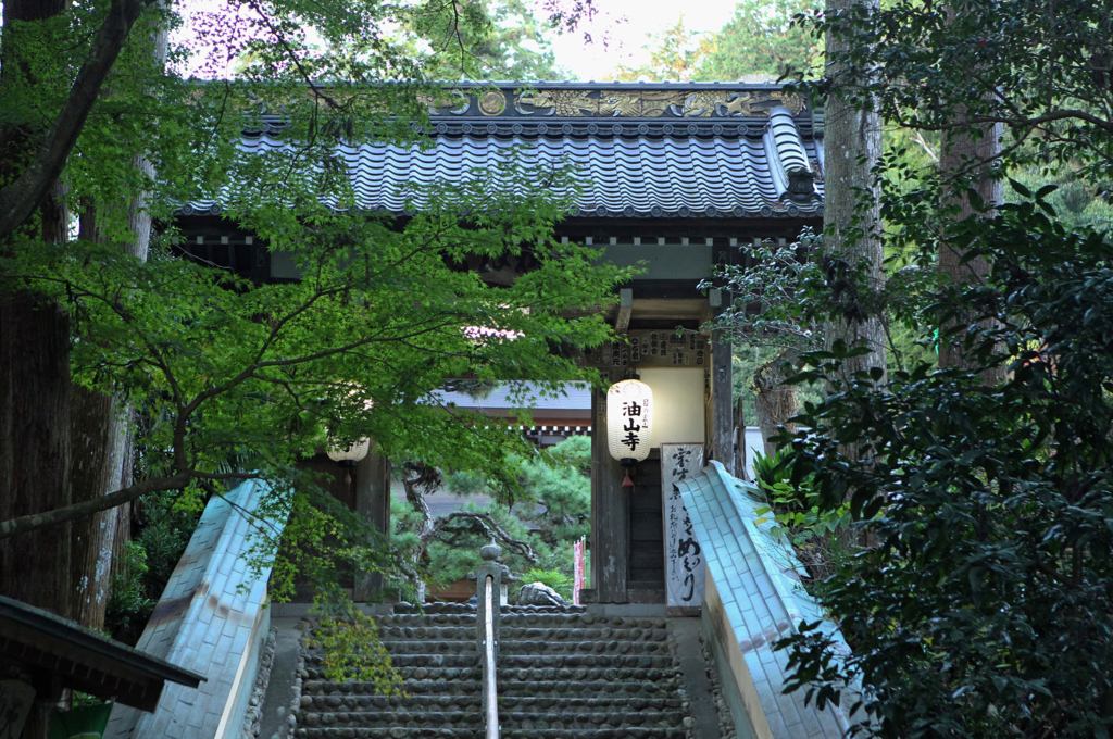 遠州３山  油山寺