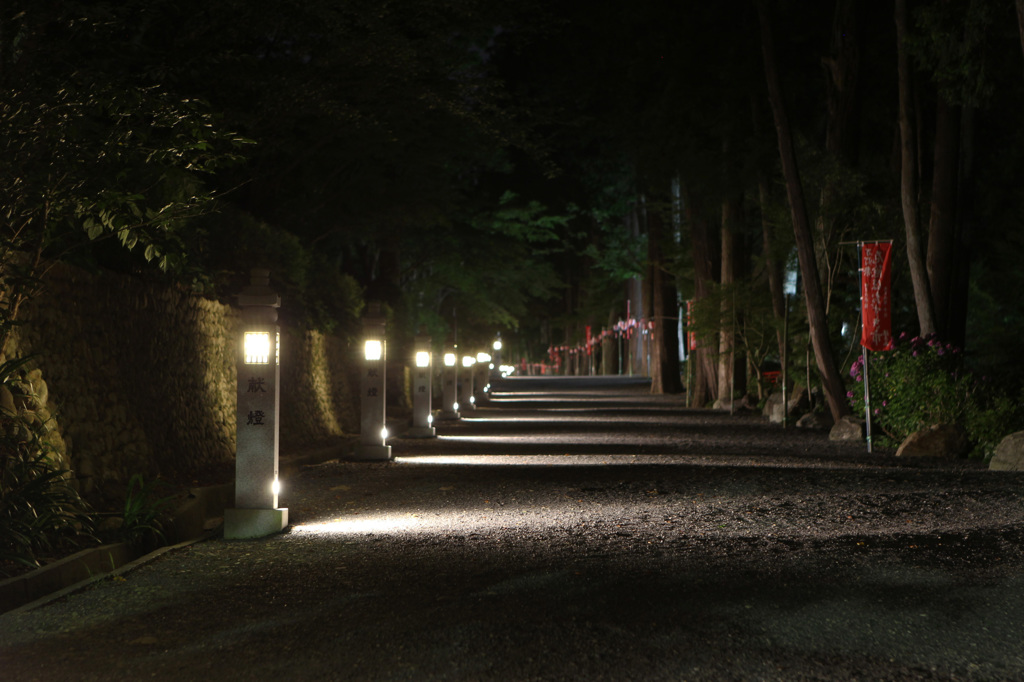 法多山 ホタル狩り参道