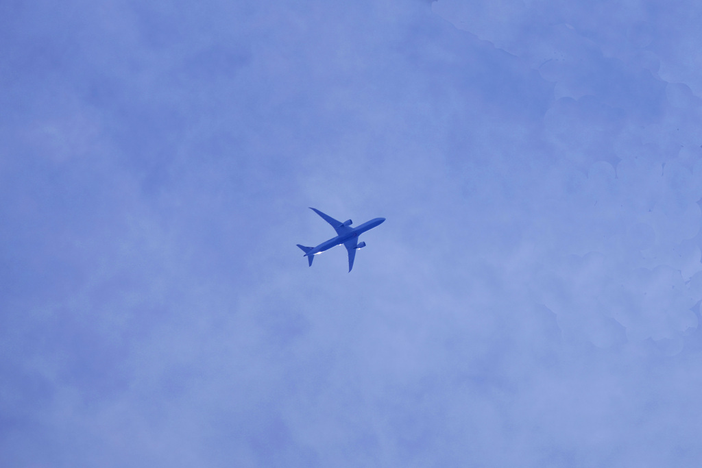 さいたま上空を飛ぶイスタンブール行きトルコ航空TK51便