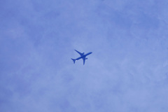 さいたま上空を飛ぶイスタンブール行きトルコ航空TK51便