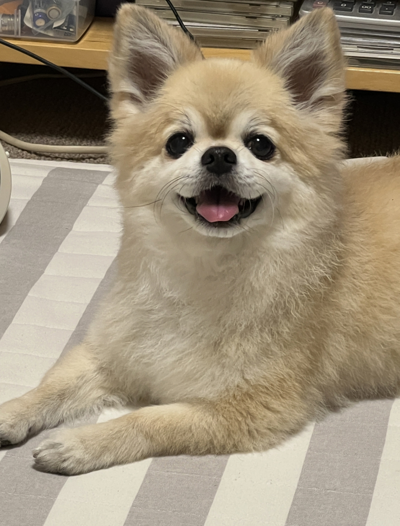 笑顔 2