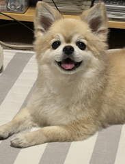 笑顔 2